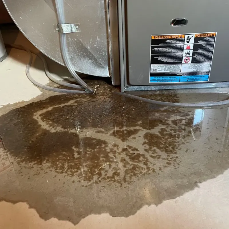 Pipe Burst and Leak Restoration in Gibsonia, PA